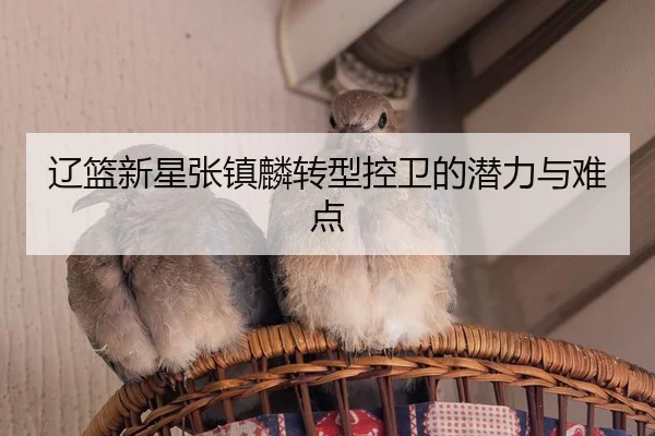 辽篮新星张镇麟转型控卫的潜力与难点